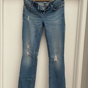 Calvin Klein Jeans Women's Boot Cut in Light Blue